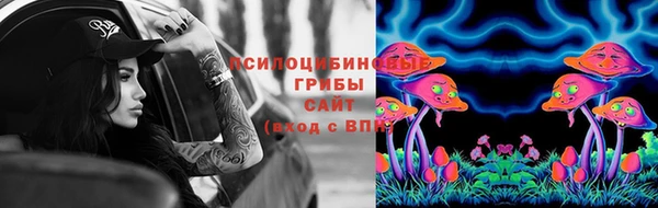 spice Нягань