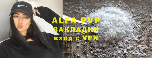 стаф Аркадак