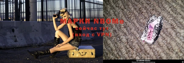 стаф Аркадак