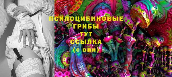 стаф Аркадак