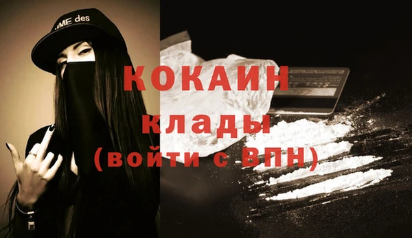 стаф Аркадак