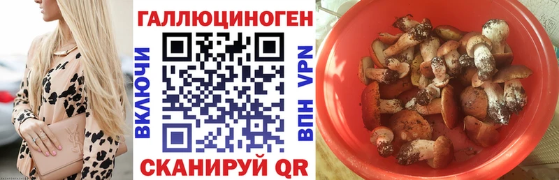 Галлюциногенные грибы Cubensis  хочу наркоту  Сергач 